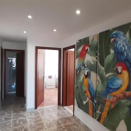 Apartment Tropical Paradise *